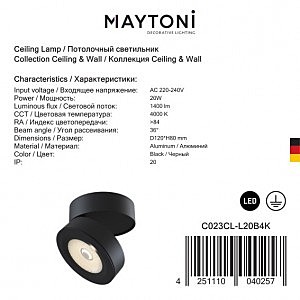 Накладной светильник Maytoni Treviso C023CL-L20B4K