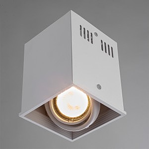 Светильник потолочный Arte Lamp A5942PL-1WH
