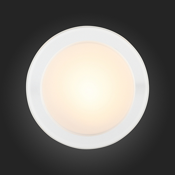 Потолочный светодиодный светильник ST Luce Botone SL466.502.01