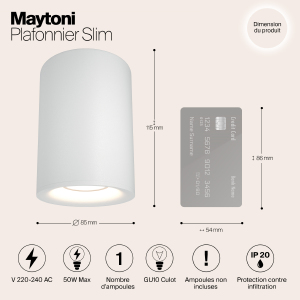 Накладной светильник Maytoni Alfa C012CL-01W