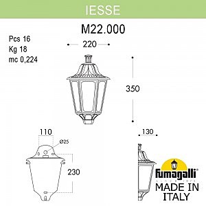 Уличный настенный светильник Fumagalli Iesse M22.000.000.WXF1R