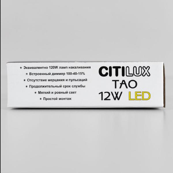 Потолочный светодиодный светильник Citilux Тао CL712122N