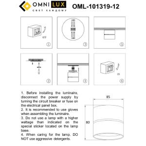 Накладной светильник Omnilux Lenno OML-101319-12
