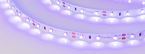 LED лента Arlight RT открытая 012813(2)