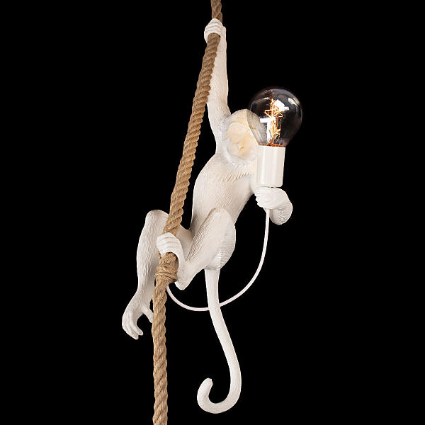 Светильник подвесной Loft It Monkey 10314P