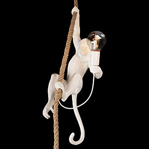 Светильник подвесной Loft It Monkey 10314P