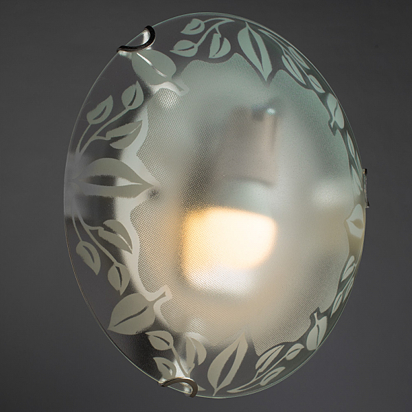 Настенно потолочный светильник Arte Lamp LEAVES A4020PL-1CC