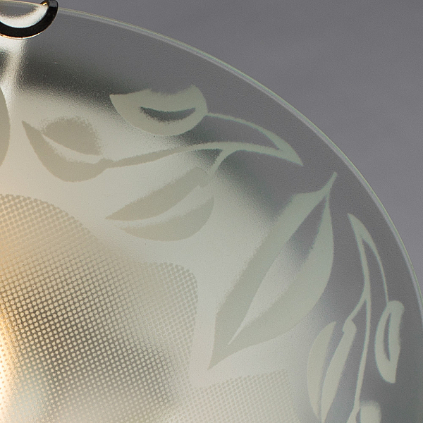 Настенно потолочный светильник Arte Lamp LEAVES A4020PL-3CC